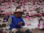 ภาพโดย(T.suwan)
